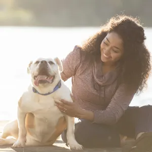 Young woman sitting on a dock playing with her pet bulldog