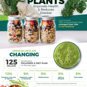 Infographic comparing popular American diets.