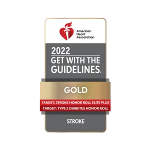 get with the guidelines gold stroke 2022 award seal