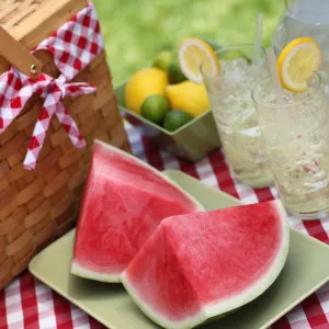 patriot picnic