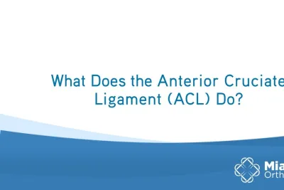 What Does the ACL Do? | Q&A with Dr. Sean Keyes | BEAR Implant | Miach Orthopaedics