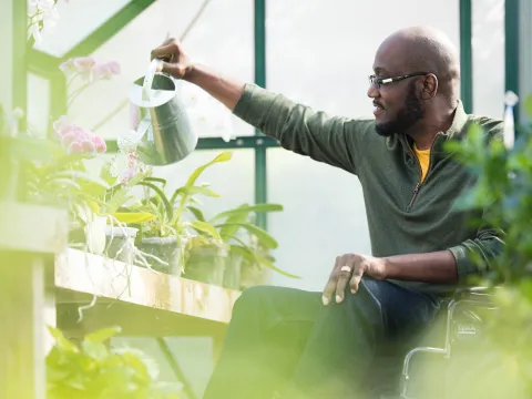 Man in Wheelchair Watering Flowers