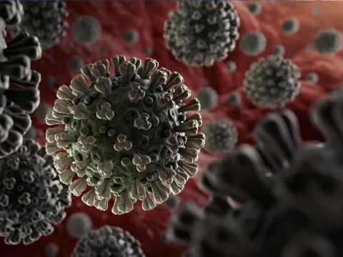 Coronavirus