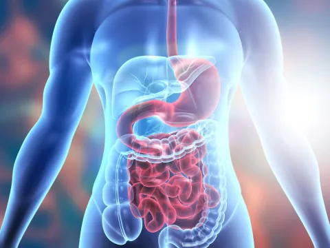 Digestive Health and Surgery