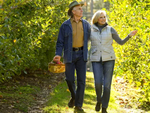 Elderly couple walking through a vineyard holding a basket.