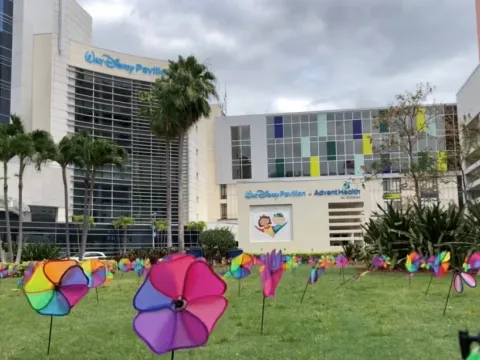 Hundreds of pinwheels adorn AdventHealth – honoring Central Floridians who passed and saved lives through organ donation in 2021