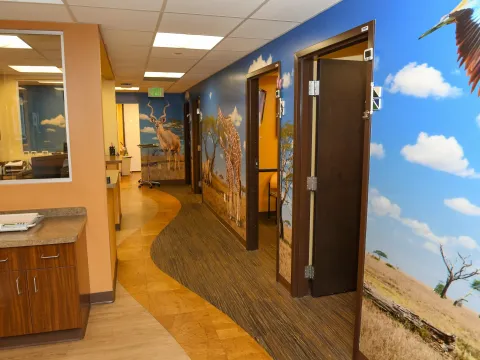 Dr. Rico's Office