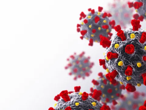 A picture of microscopic particles