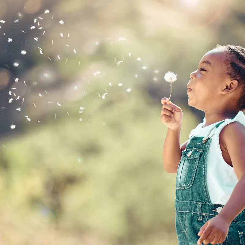allergy-relief-whi-blog