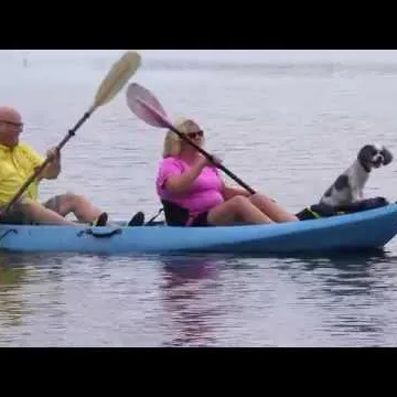 FHNP Dr. Al Causey Patient Testimonial