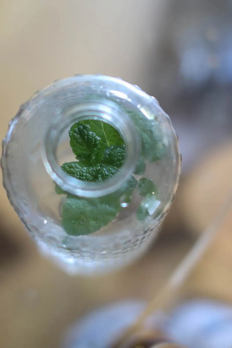 Mint in water bottle
