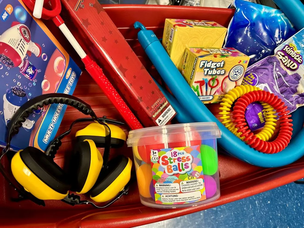 This year, the grant funded an array of toys and sensory-friendly gifts.